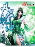 丹武乾坤