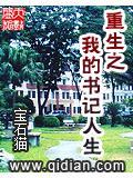 重生之我的书记人生