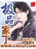 极品家丁